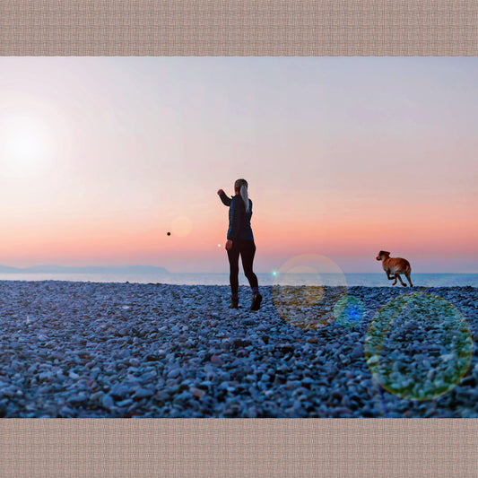 Human and Animal Joint Distance Reiki Session