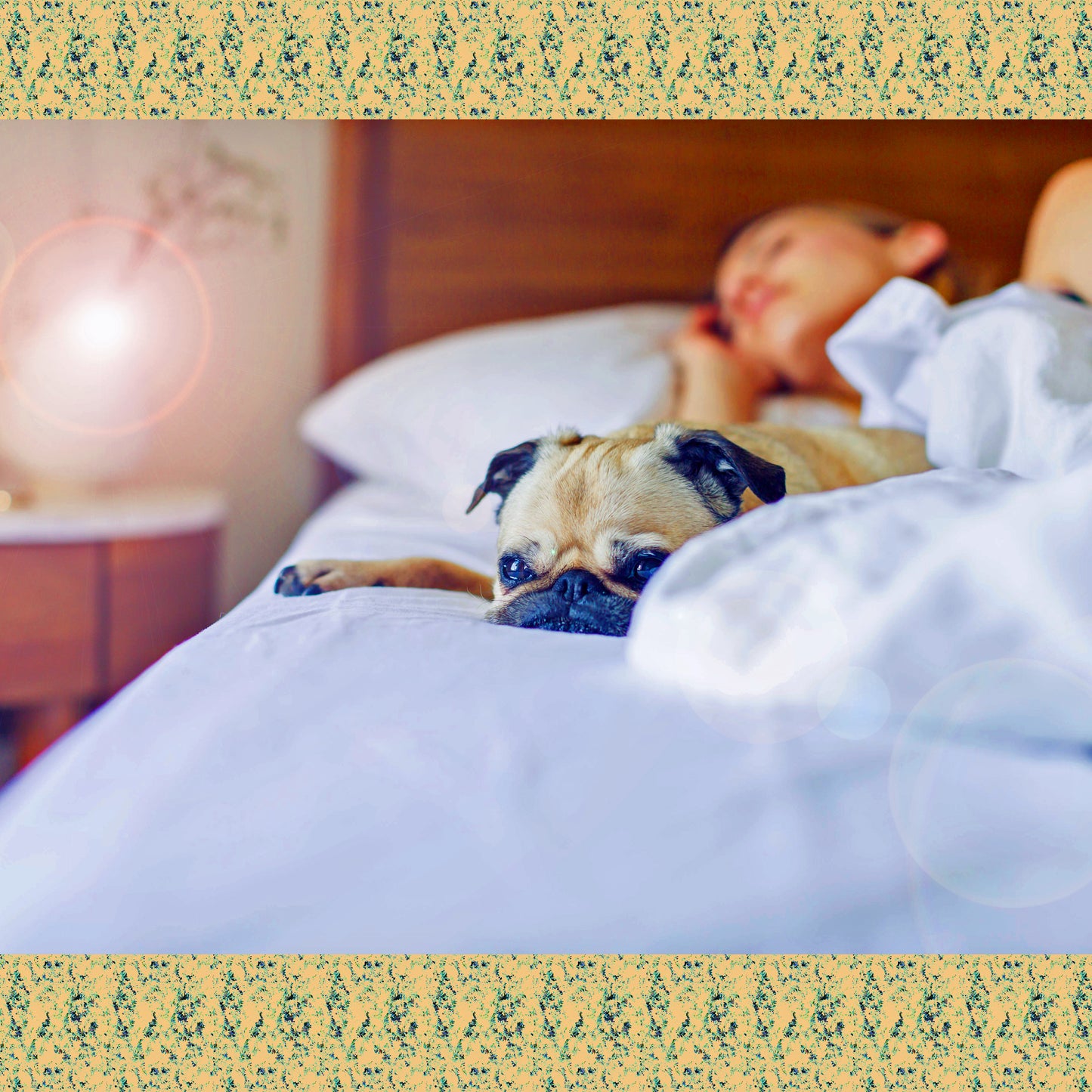 Human and Animal Joint Distance Reiki Session