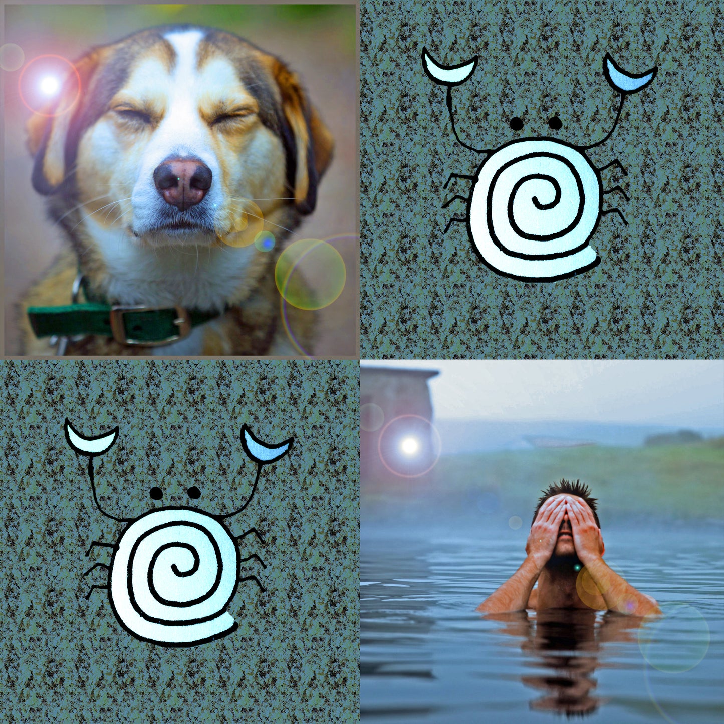 Human and Animal Joint Distance Reiki Session